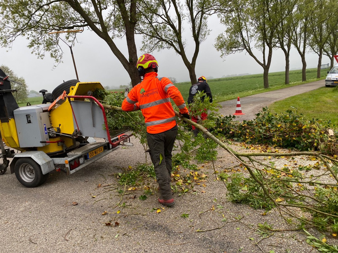 Van logo tot volledig beplakte bus: Boomrooierij Hoogteijling